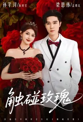 触碰玫瑰短剧全集在线看