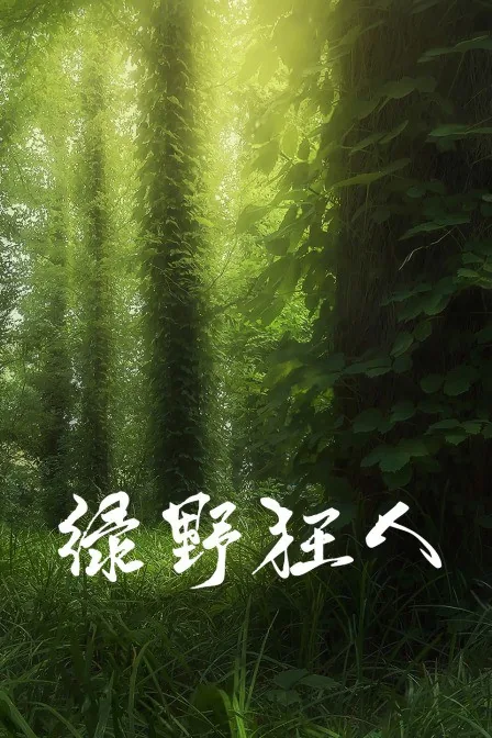 绿野狂歌dj汉语