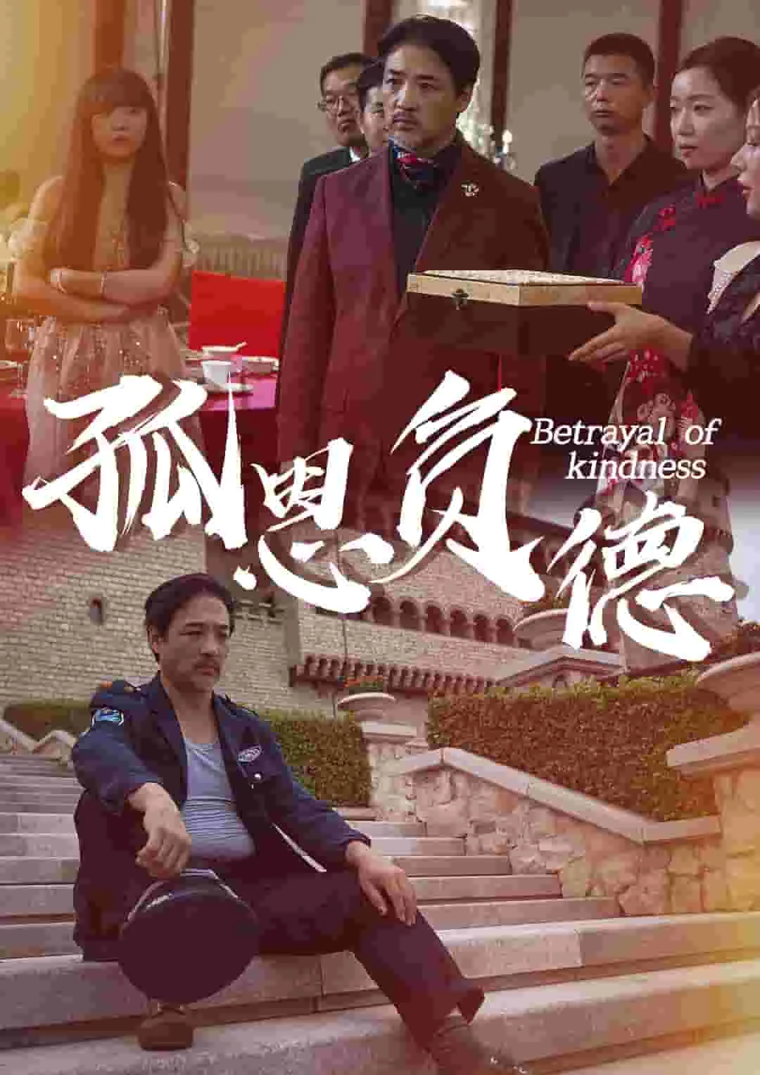 孤恩负德短剧全集免费