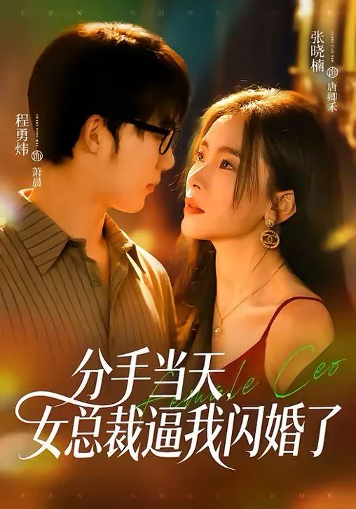 分手当天女总裁逼我闪婚了免费观看