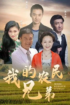 我的农民兄弟辛欣最后和谁在一起了