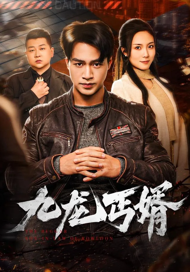 九龙丐婿