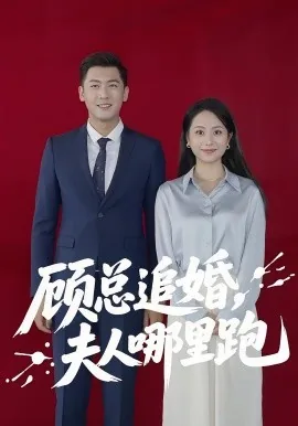 顾总追妻之路