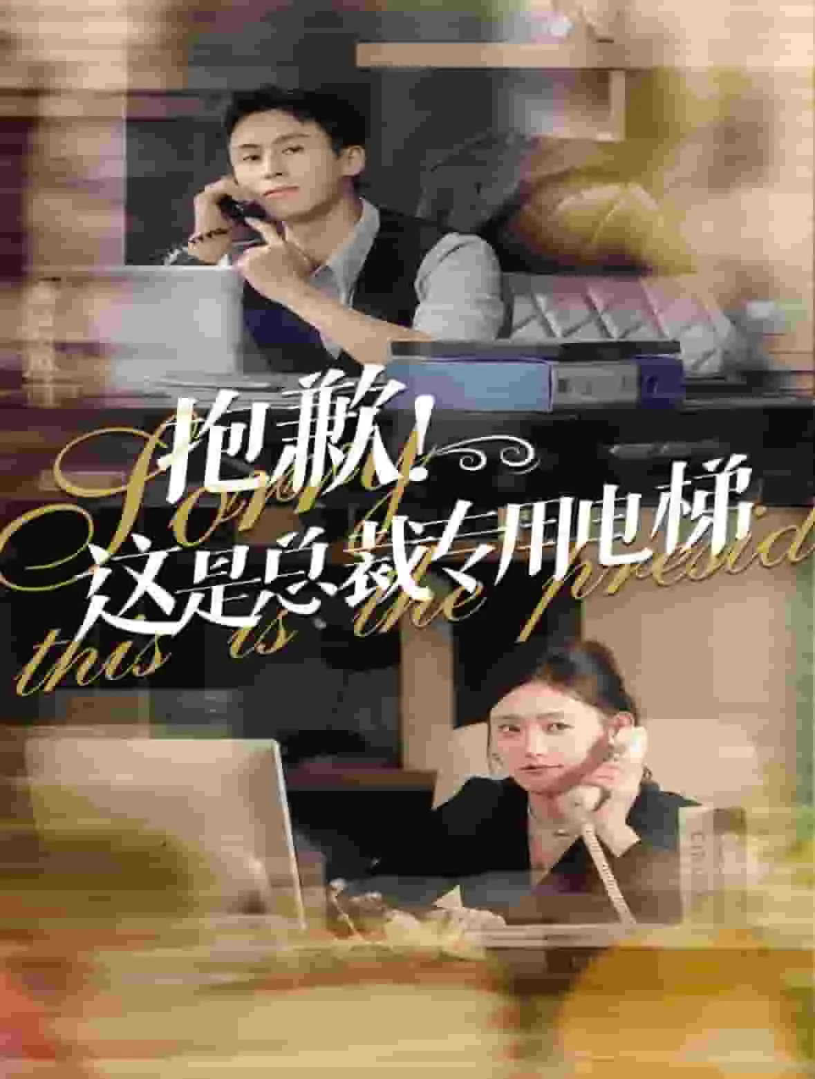 抱歉这是总裁专用电梯60