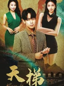 天梯港剧在线观看