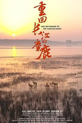 重回长江的麋鹿纪录片在线观看