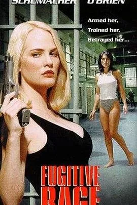 执法精英(1996)