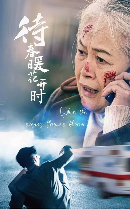 待春暖花开时短剧免费观看