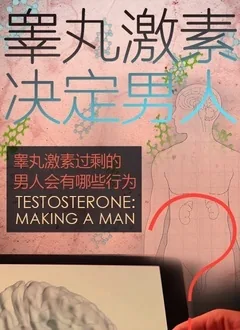 睾丸激素决定男人成熟吗