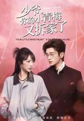 少爷,你的小青梅又拆家了百度百科