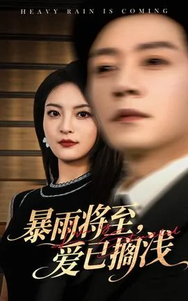 暴雨将至爱已搁浅男主角演员