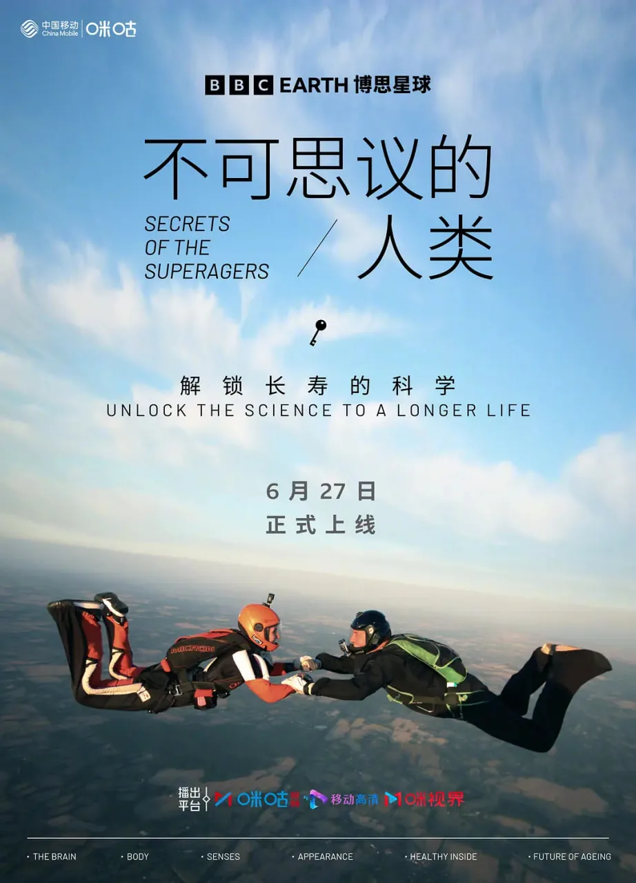 不可思议的游戏