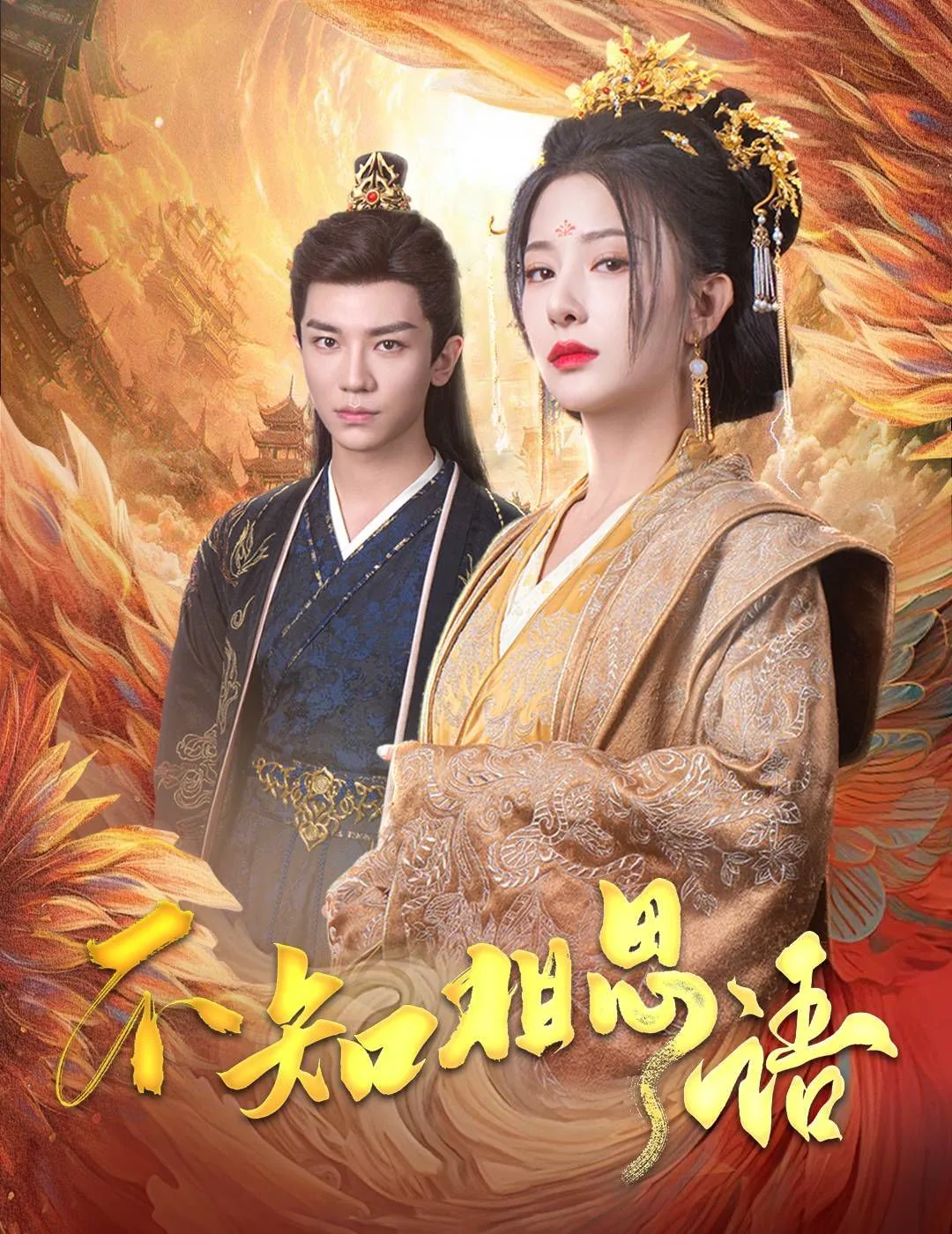不知相思语小说网盘