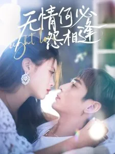 无情何必怨相逢女主扮演者