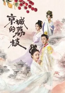 京城的荔枝小说
