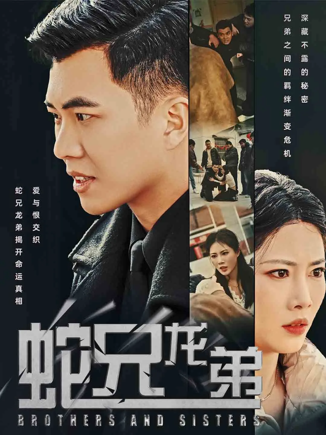 蛇兄龙弟不是神打一数字