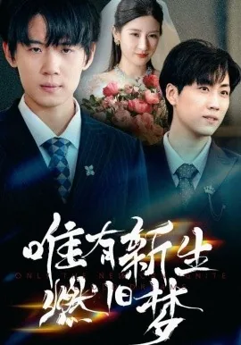 唯有新生燃旧梦短剧在线观看