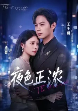 夜色正浓电视剧免费观看