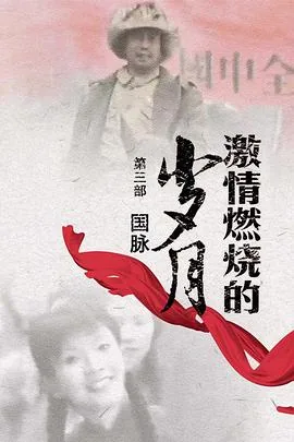 激情燃烧的岁月3电视剧剧情介绍
