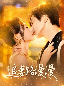 追妻路漫漫其修远兮啥意思