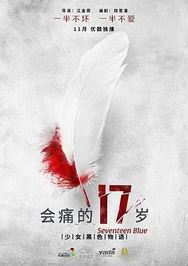 会痛的17岁电影剧情介绍