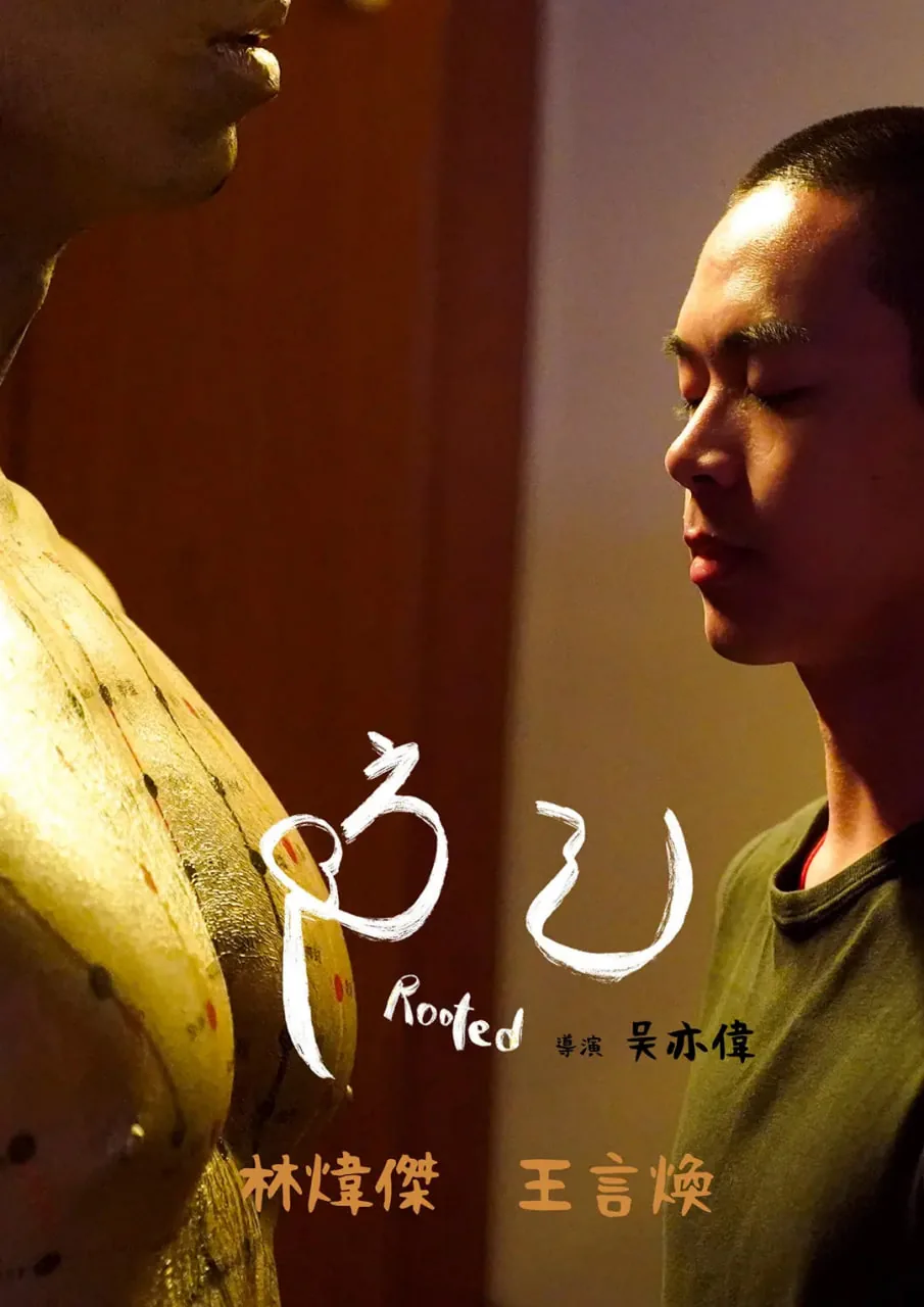 防己性味归经