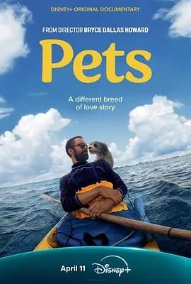 宠 Pets