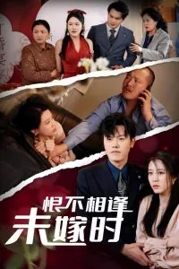 恨不相逢未嫁时出自哪里