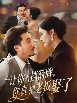让你当挡箭牌你真把老板娶了2