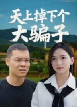 天上掉下个傻天真小说