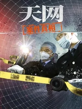 天网真实案件
