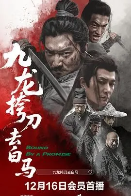 九龙挎刀去白马免费观看全集高清视频在线看