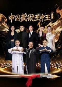 中国武术王中王第二季播出时间