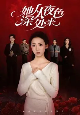 他从夜色深处来申浩男短剧免费观看