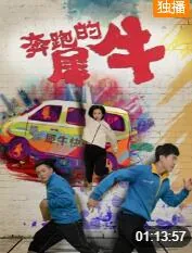 奔跑的犀牛 豆瓣