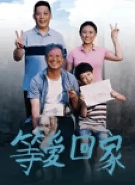 等爱回家电视剧