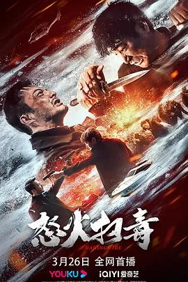怒火扫毒电影在线观看