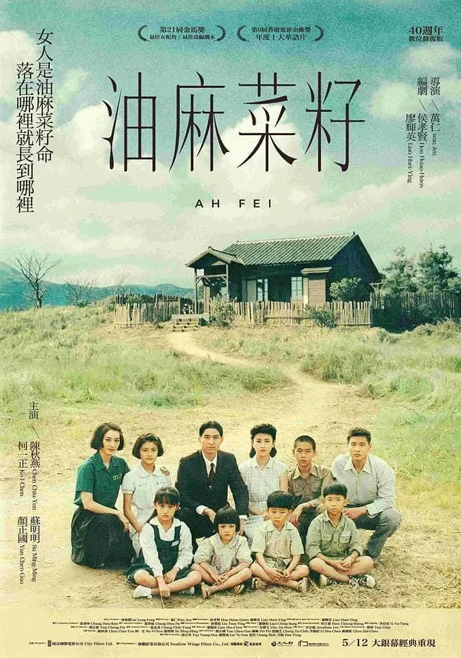 油麻菜籽廖辉英原文