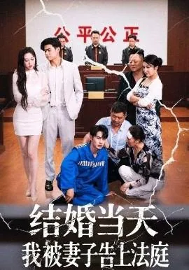 结婚当天我被妻子告上法庭短剧免费