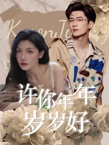 许你年年岁岁好TXT百度网盘