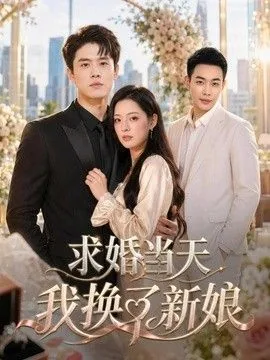 结婚当天我换了新郎小说