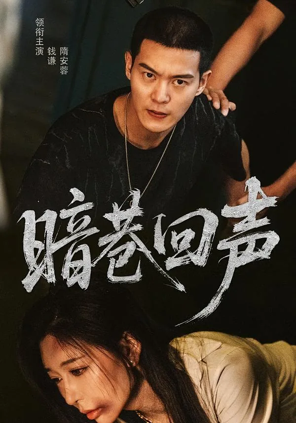 暗巷回声电视剧免费观看