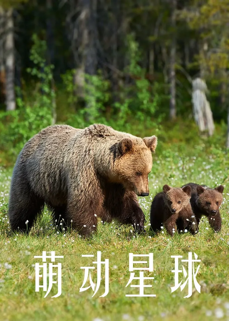 萌动星球纪录片在线播放