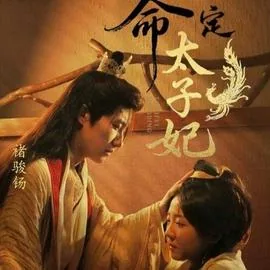 命定太子妃短剧热播