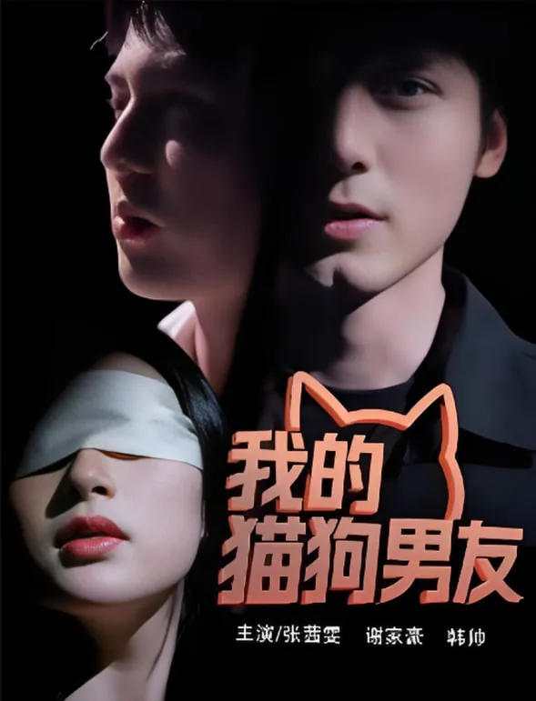 我的猫狗男友短剧合集