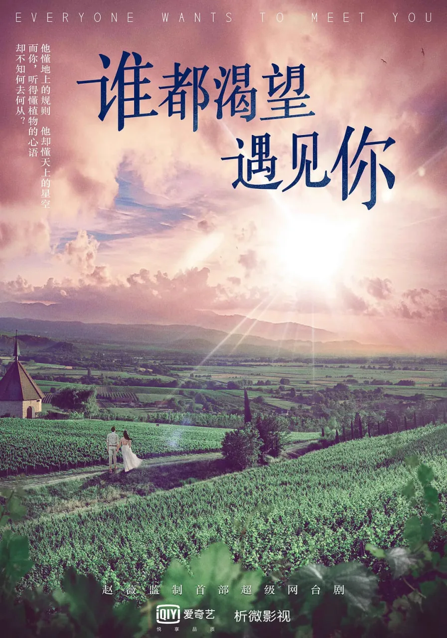 谁都渴望遇见你字幕电视剧免费观看