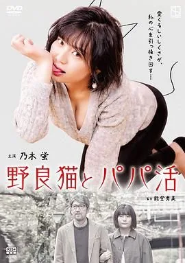 野猫少女一起生活的方法