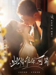 此情唯你可消沈砚儒是谁演的