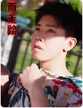 铤而走险电视剧