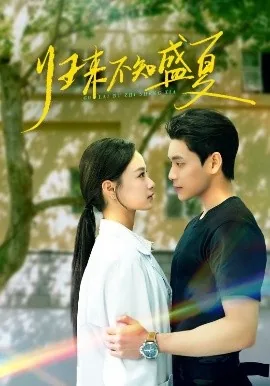 归来不知盛夏盛知夏大结局